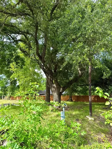 1926 Dolly Wright Road Houston TX 77088