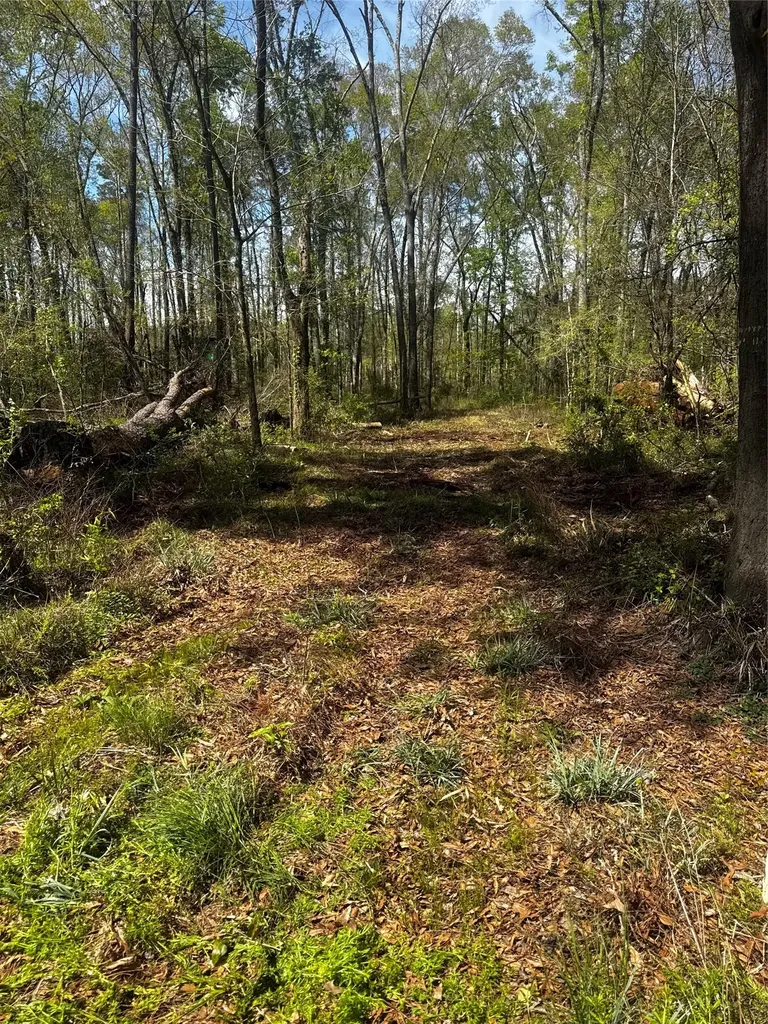 0 Winter Creek Cleveland TX 77328
