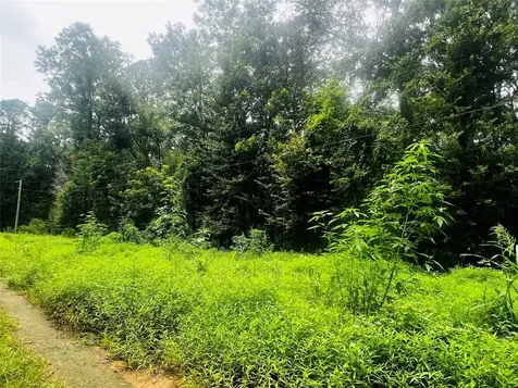 0 Winter Creek Cleveland TX 77328