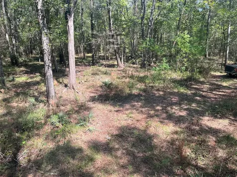 0 Winter Creek Cleveland TX 77328