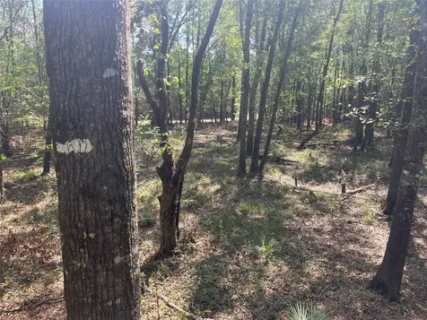 0 Winter Creek Cleveland TX 77328
