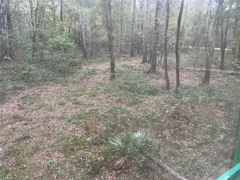 0 Winter Creek Cleveland TX 77328