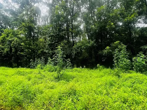 0 Winter Creek Cleveland TX 77328