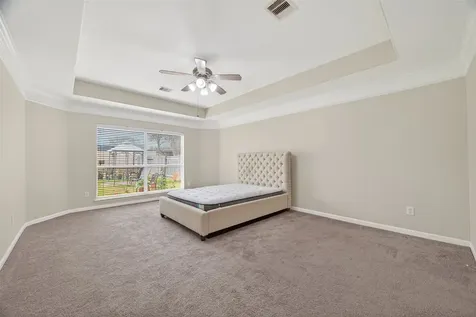 13310 Larkhill Gardens Lane Sugar Land TX 77498
