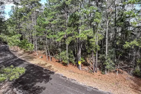 Lot 82 Pine Valley Huntsville TX 77320
