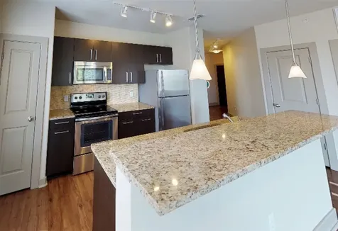 1340 W Gray Street 208 Houston TX 77019