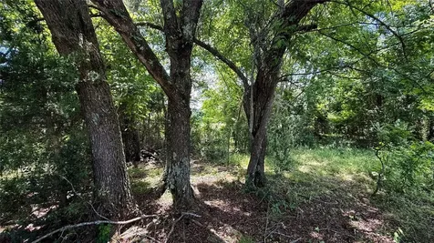 Tbd #5 County Road 477 Parcel 5 Henderson TX 75654