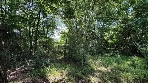 Tbd #5 County Road 477 Parcel 5 Henderson TX 75654