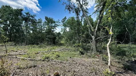 Tbd #5 County Road 477 Parcel 5 Henderson TX 75654