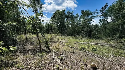 Tbd #5 County Road 477 Parcel 5 Henderson TX 75654