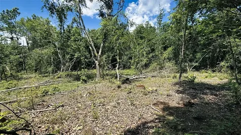 Tbd #5 County Road 477 Parcel 5 Henderson TX 75654