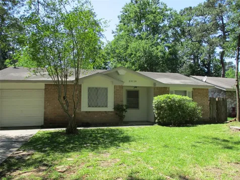 23119 Banquo Drive Spring TX 77373