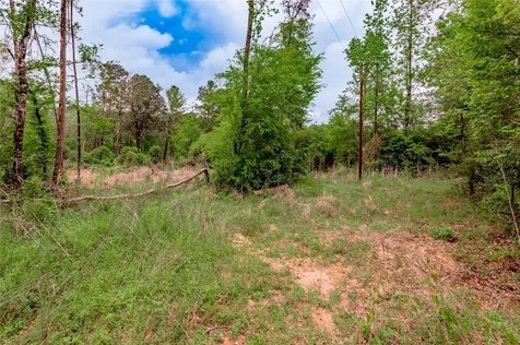 0000 Big Foot Wallace Trail Livingston TX 77351