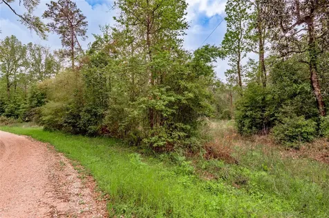 0000 Big Foot Wallace Trail Livingston TX 77351