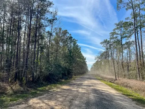 T-1 Zavalla Road Mauriceville TX 77626