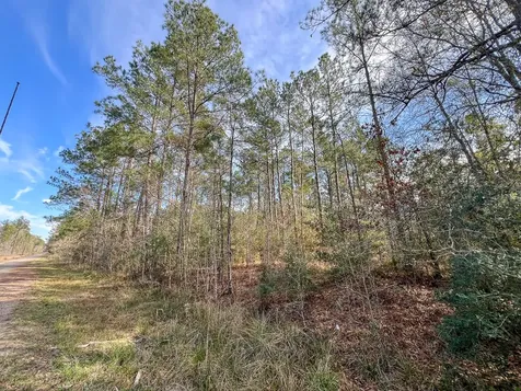 T-1 Zavalla Road Mauriceville TX 77626