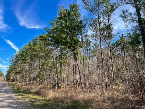 T-1 Zavalla Road Mauriceville TX 77626