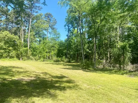 Tr 29 Oak Pine Drive Livingston TX 77351