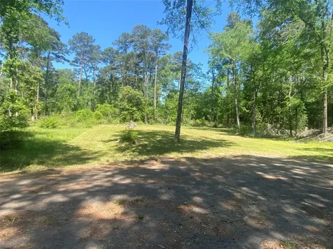Tr 29 Oak Pine Drive Livingston TX 77351