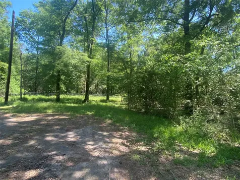 Tr 29 Oak Pine Drive Livingston TX 77351