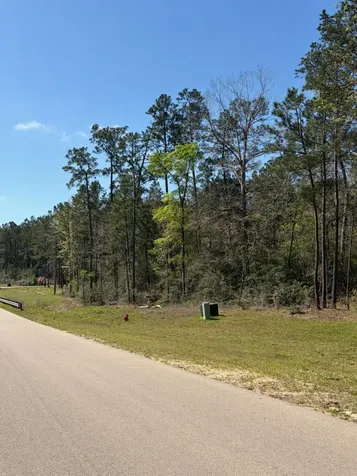 15633 Ridge Rock Road Willis TX 77378