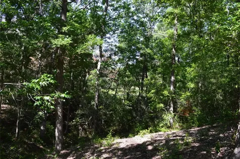 0 Fm-2447 Chappell Hill TX 77426