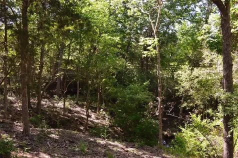 0 Fm-2447 Chappell Hill TX 77426