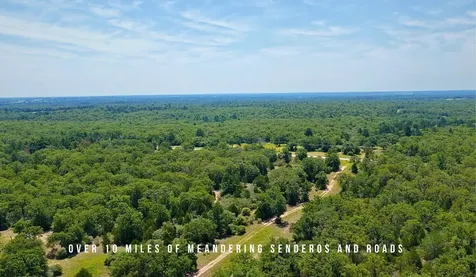 Tbd County Road 405 - 839 Acres Lexington TX 78947