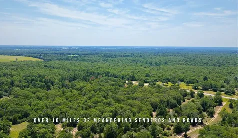 Tbd County Road 405 - 839 Acres Lexington TX 78947
