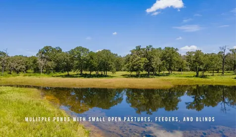 Tbd County Road 405 - 839 Acres Lexington TX 78947