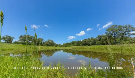 Tbd County Road 405 - 839 Acres Lexington TX 78947