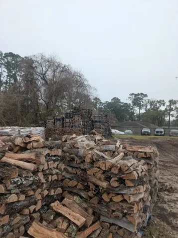 3347 Pinemont Drive Houston TX 77018