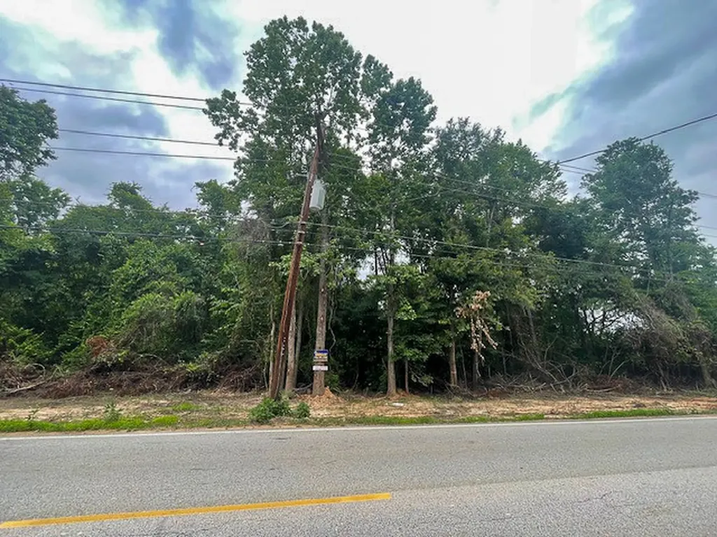 1 Sleepy Hollow Road Conroe TX 77385