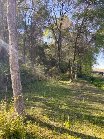 1 Sleepy Hollow Road Conroe TX 77385