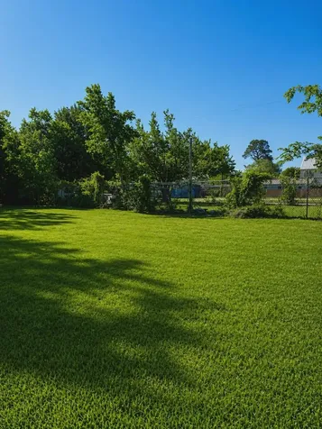 4115 Billingsley Street Houston TX 77009