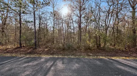 Tbd Rhonda Rosa Road Wallisville TX 77597