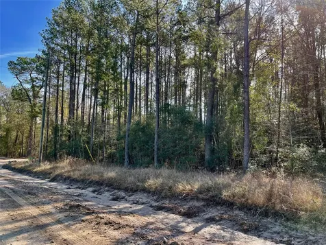 6 +/- Acs Cr 3400 Colmesneil TX 75938