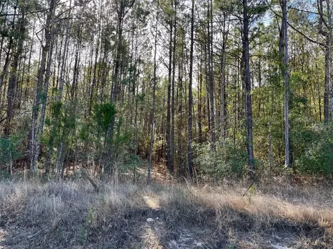 6 +/- Acs Cr 3400 Colmesneil TX 75938