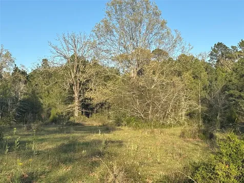 Tbd Cr4120 Lovelady TX 75851