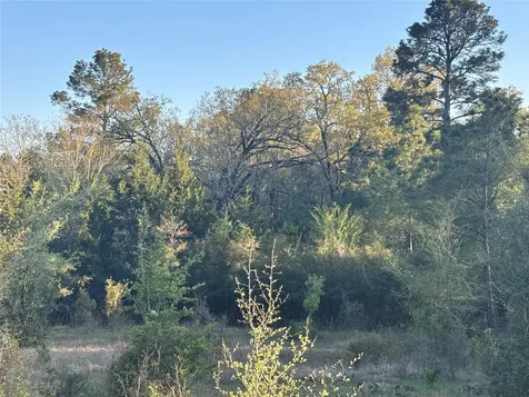 Tbd Cr4120 Lovelady TX 75851