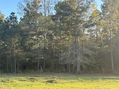 Tbd Cr4120 Lovelady TX 75851