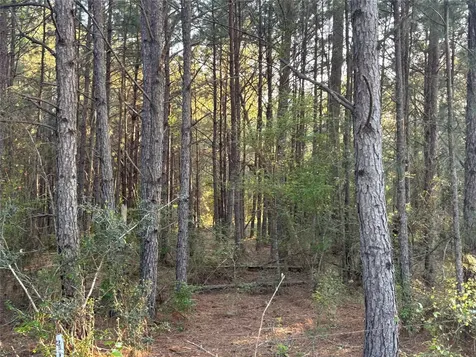 Tbd Cr4120 Lovelady TX 75851