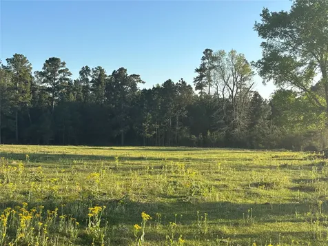 TBD CR4120 Lovelady TX 75851