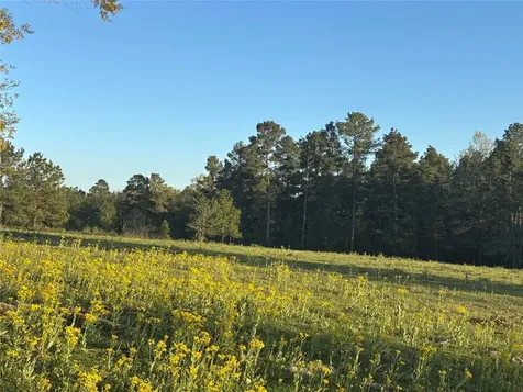 TBD CR4120 Lovelady TX 75851