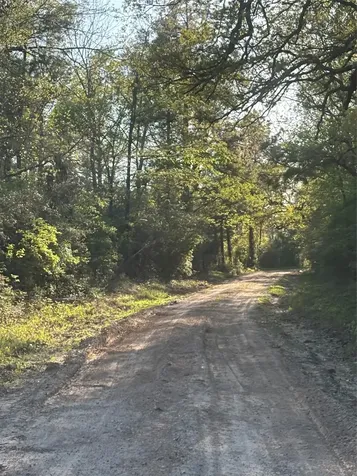 Tbd Cr4120 Lovelady TX 75851