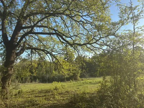 Tbd Cr4120 Lovelady TX 75851
