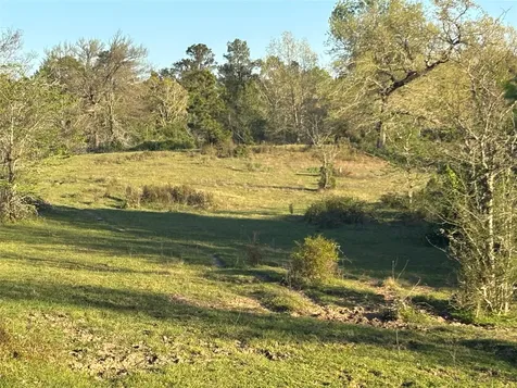 Tbd Cr4120 Lovelady TX 75851