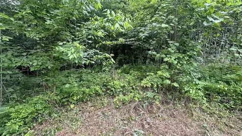 3 Michael Street Huntsville TX 77320
