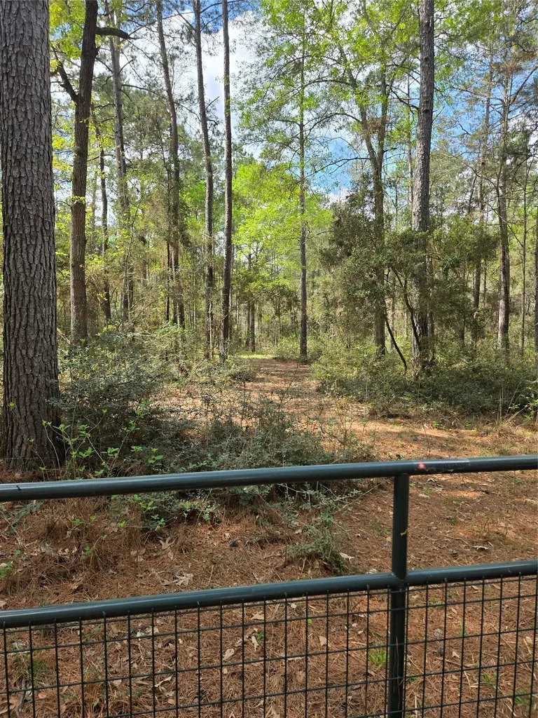 Tba Sanctuary Road Huntsville TX 77340