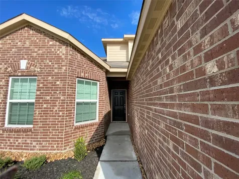 10707 Gossypium Court Richmond TX 77469